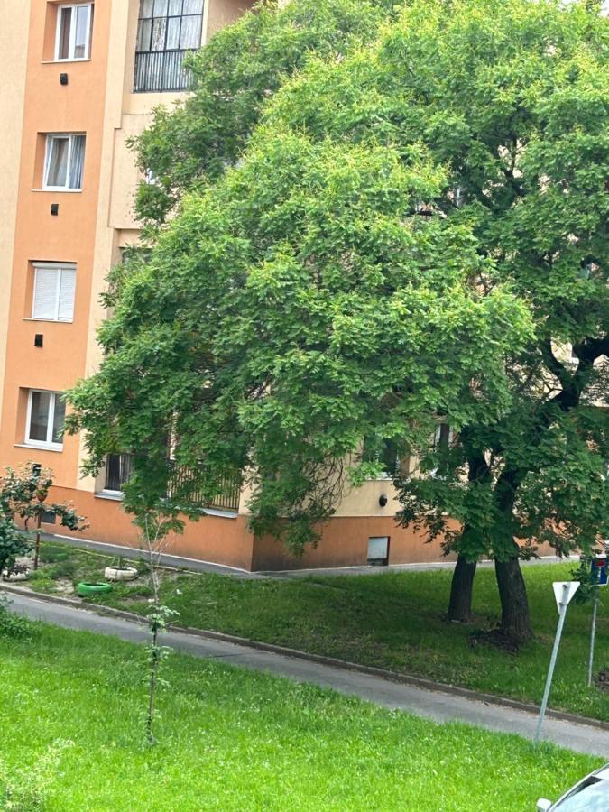 Sophie'S Urban Nest Apartment Miskolc Exterior photo